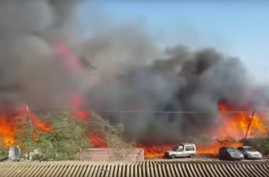 В Израиле страшный пожар: эвакуировано более 12 районов Хайфы (ВИДЕО)