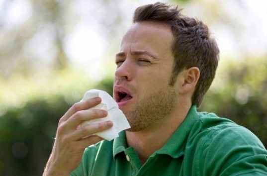 В Австралии от грозовой астмы скончались шесть человек
