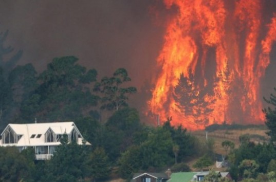 Новую Зеландию охватили лесные пожары, есть жертвы (ФОТО, ВИДЕО)