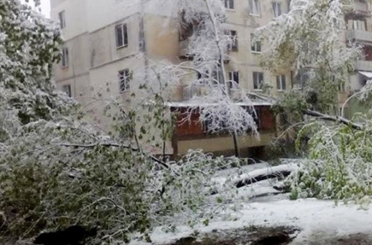 В Кишиневе из-за снегопадов объявлено чрезвычайное положение (ФОТО, ВИДЕО)