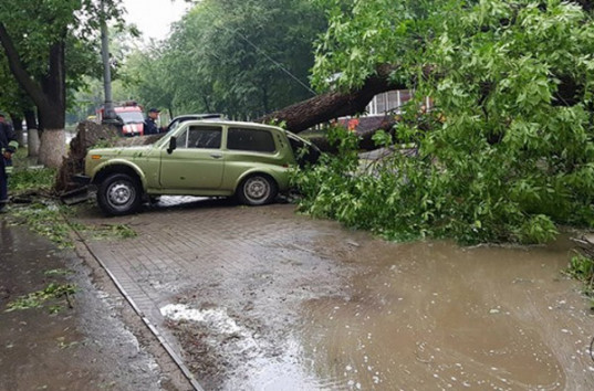 На юге Хмельницкой области прошел мощный ураган (ВИДЕО)