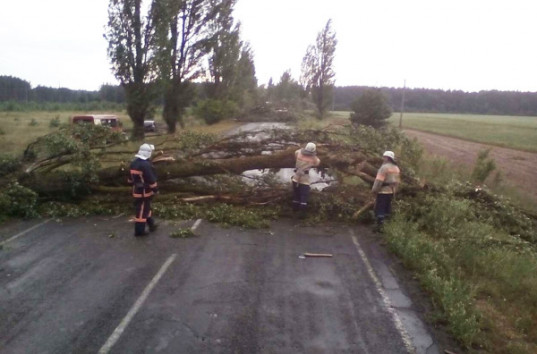 На западные регионы Украины обрушился мощный шторм (ФОТО)