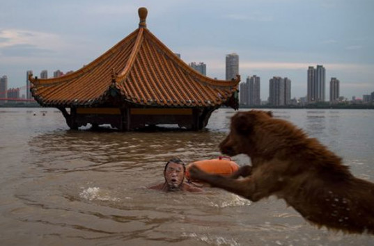 Наводнение в Китае: десятки погибших, разруха и миллиардный ущерб