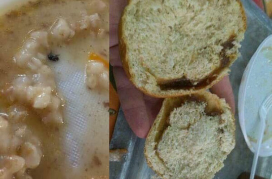Как кормят в ВСУ: Каша с мухами, хлеб с непонятными микроорганизмами
