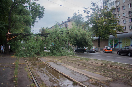 Непогода в Днепре: затопленные дороги и поваленные деревья (ФОТО)