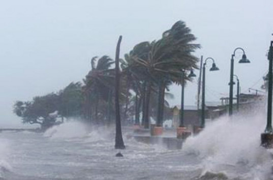 По оценкам ООН, от урагана Ирма могут пострадать десятки миллионов человек