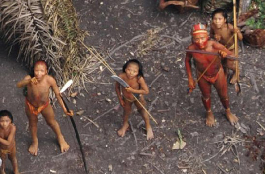 В Бразилии нелегальные золотодобытчики вырезали племя индейцев (ФОТО)