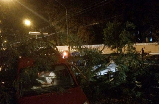 Буря на Закарпатье валила деревья и сносила крыши домов (ФОТО)