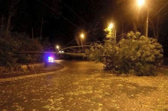 Ураган в Украине: срывало деревья и крыши, 7 областей без электричества (ФОТО)