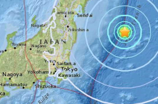 Возле Фукусимы: мощное землетрясение всколыхнуло Японию