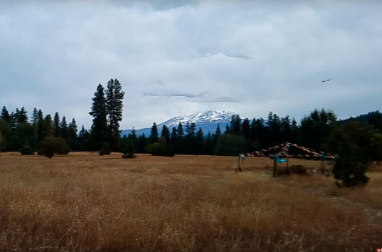 Американец заснял очень качественное видео с НЛО у себя на ранчо и отправил уфологам (ВИДЕО)