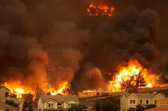 Пожары в Калифорнии: количество погибших продолжает расти (ВИДЕО)