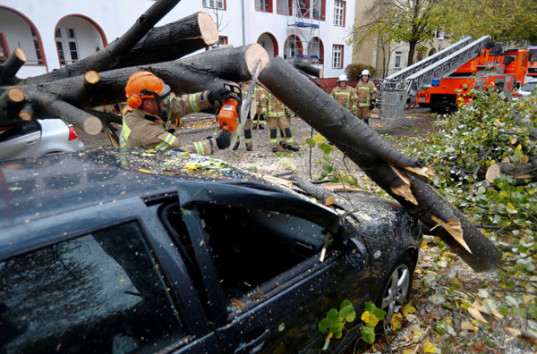 Ураган Герварт в Германии: Вырванные деревья, потоп, остановлено движение поездов (ВИДЕО)