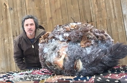 Реальная голова снежного человека