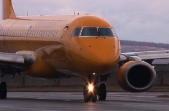 Авиакатастрофа Ан-148: В Орске ищут родственников пассажиров разбившегося самолета