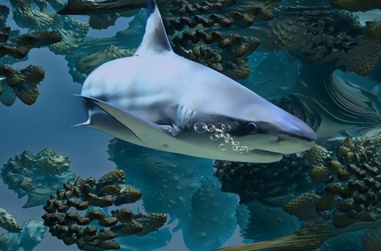 Зафиксировано нападение акулы в пресноводном озере Мичиган на территории США