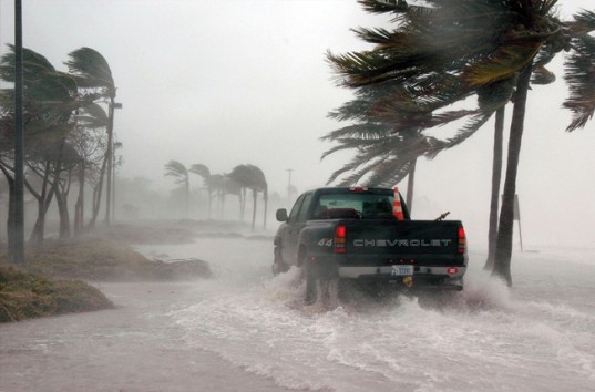 Ураган 3-й категории «Фабио» у берегов Калифорнии это только начало, — Метеорологи