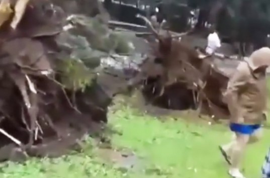 Появилось видео ужасного наводнения с уроганом в России (ВИДЕО)