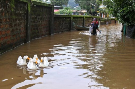 Наводнение в Индии: Жертвами непогоды стали более 300 человек
