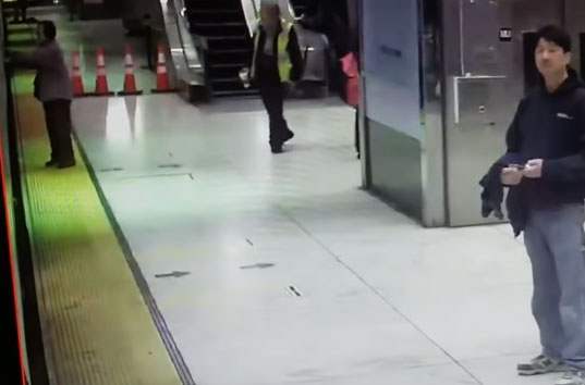 В Сан-Франциско, штат Калифорния, женщину затянуло под поезд в метро (ВИДЕО)
