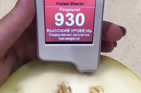 В Запорожской области дыню проверили на нитраты: показатели зашкаливают в 10 раз!