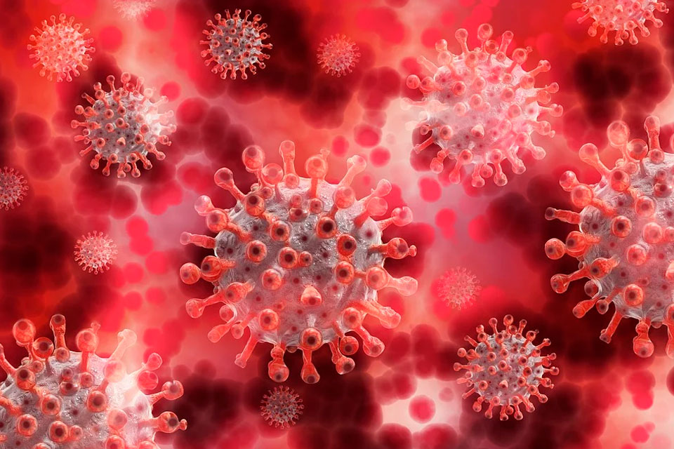В Индии обнаружен новый опасный вирус: Летальность вируса Нипах составляет от 40% до 75%