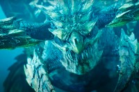 Компания Capcom представила новый трейлер Monster Hunter Wilds