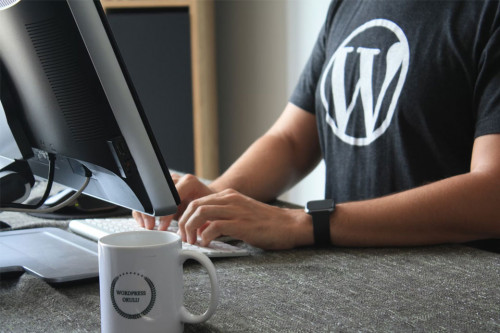 Automattic возобновляет работу над WordPress